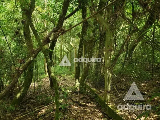 Chácara com 6750m², à venda, no bairro Cará-cará em Ponta Grossa