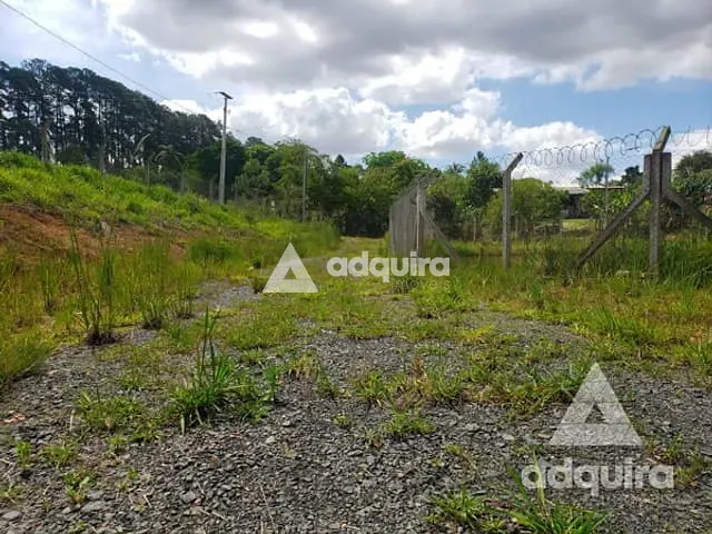 Chácara com 6750m², à venda, no bairro Cará-cará em Ponta Grossa