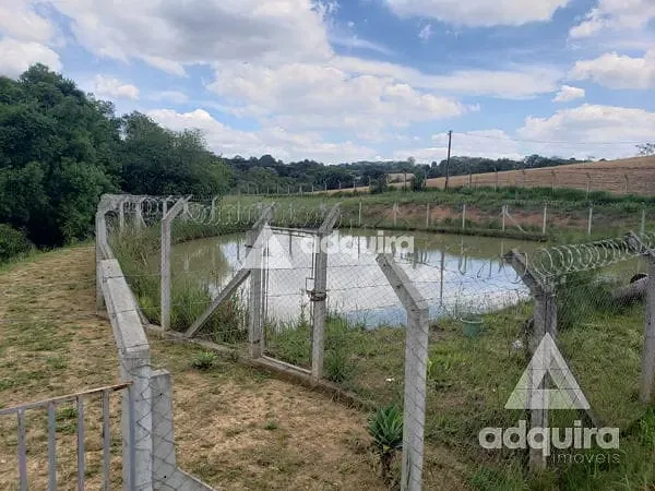Chácara, 1 quarto, 6750 m² - Foto 10