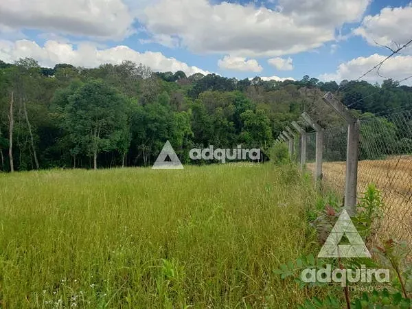 Chácara, 1 quarto, 6750 m² - Foto 4