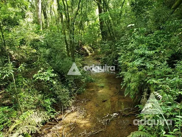 Chácara, 1 quarto, 6750 m² - Foto 16