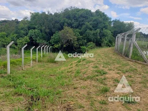 Chácara, 1 quarto, 6750 m² - Foto 9