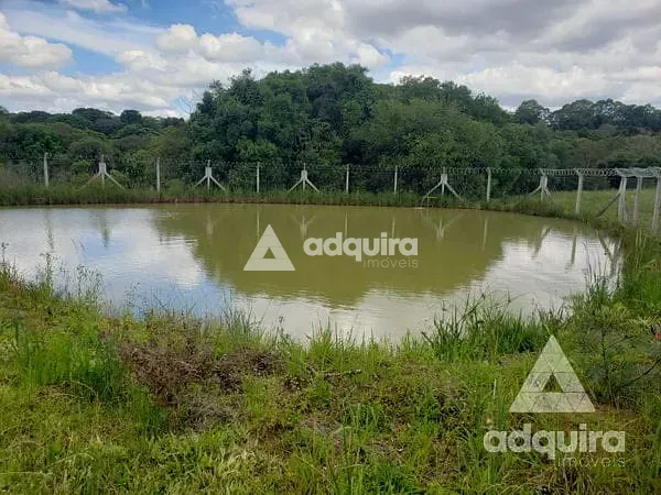 Chácara, 1 quarto, 6750 m² - Foto 12