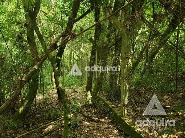 Chácara, 1 quarto, 6750 m² - Foto 5