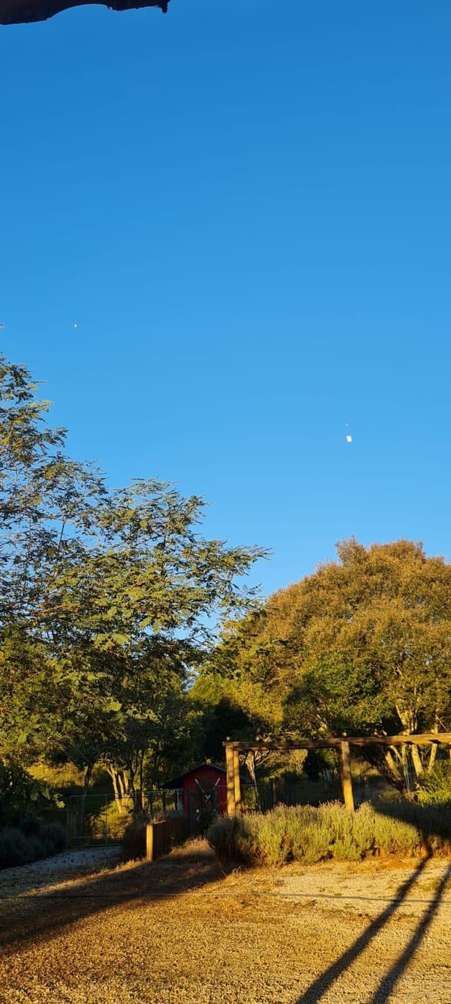 Sítio, 2 quartos, 4 hectares - Foto 6