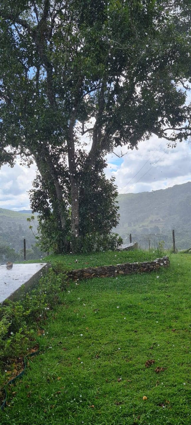 Sítio, 2 quartos, 4 hectares - Foto 9