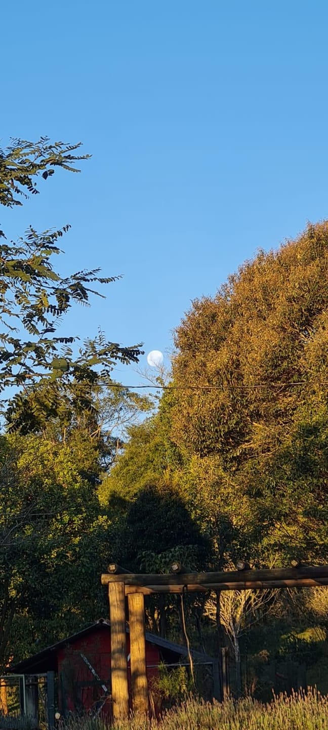 Sítio, 2 quartos, 4 hectares - Foto 10