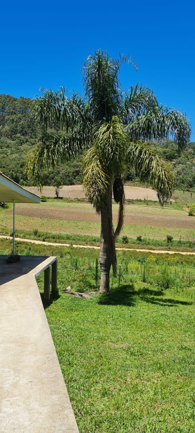 Sítio, 2 quartos, 4 hectares - Foto 34