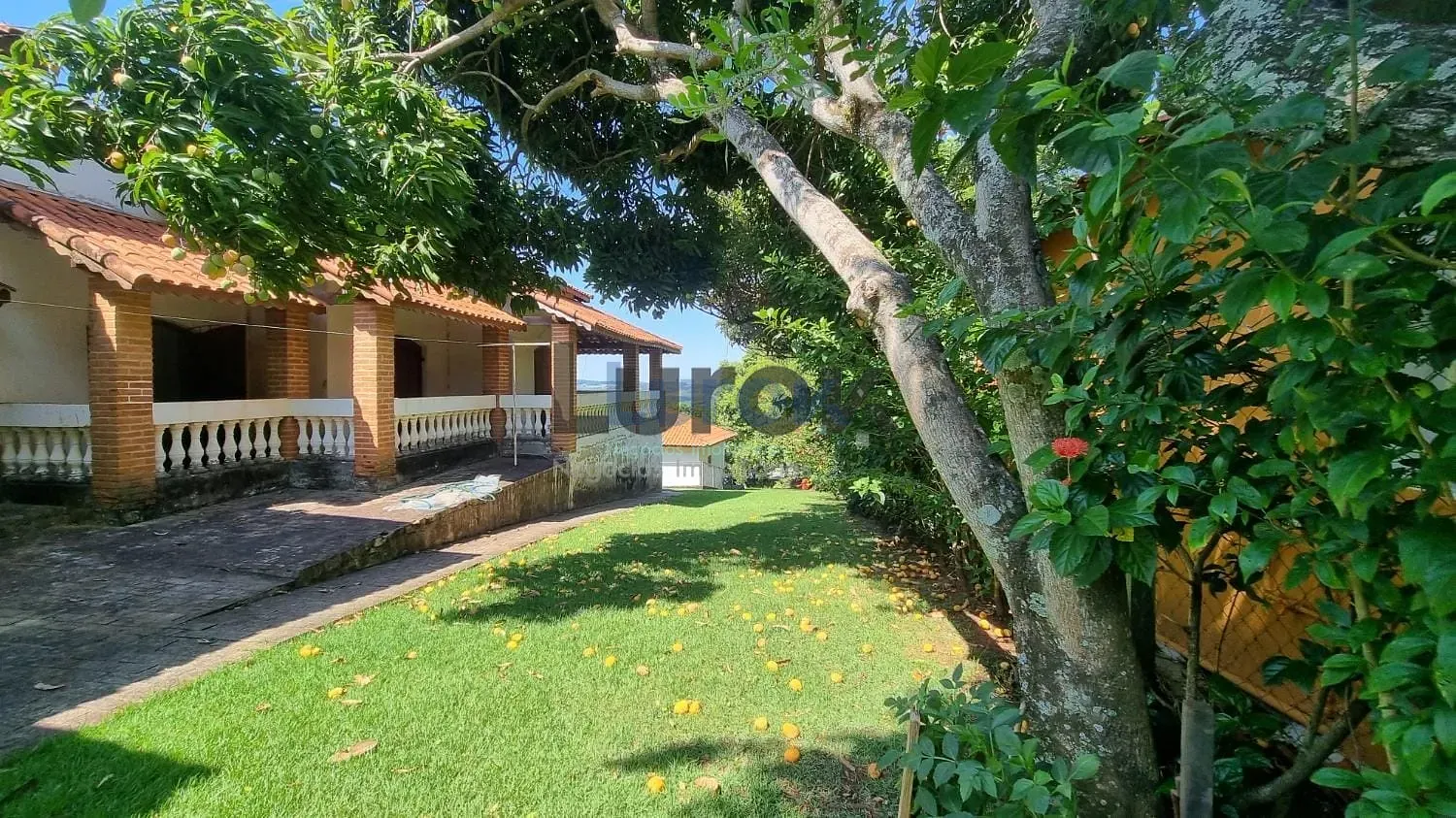 Chácara, 3 quartos, 3807 m² - Foto 1