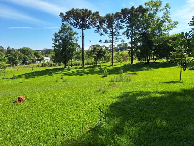 Chácara à Venda com 5.696 m² no Periquitos