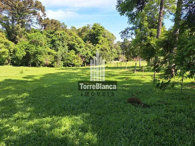 Chácara com 5696m², à venda, no bairro periquitos em Ponta Grossa