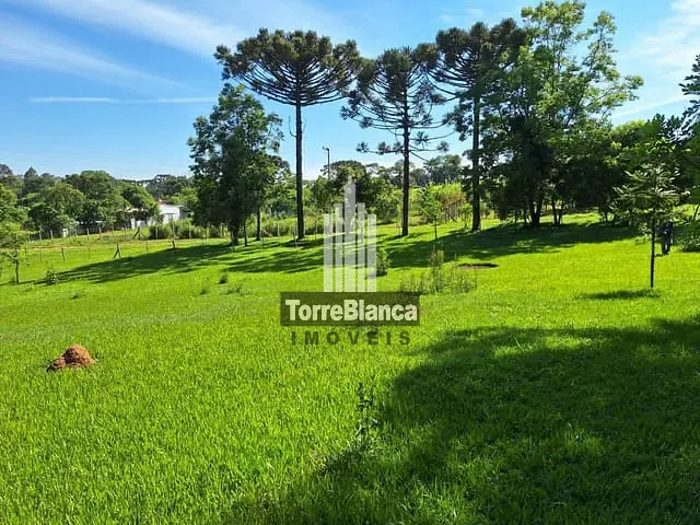 Chácara com 5696m², à venda, no bairro periquitos em Ponta Grossa