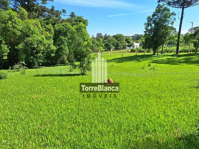 Chácara com 5696m², à venda, no bairro periquitos em Ponta Grossa