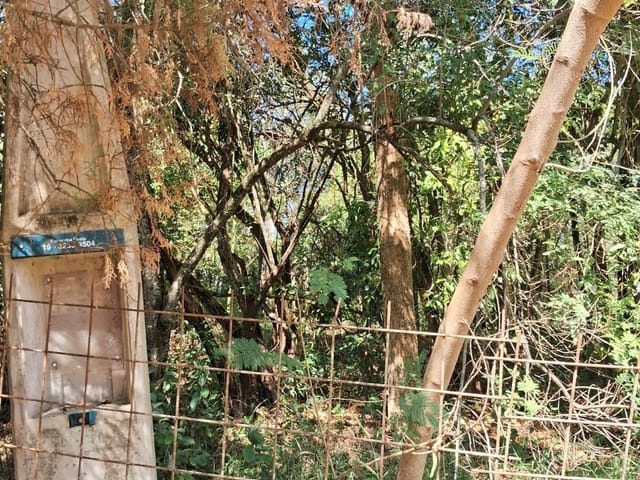 Foto do Chácara - Chácara à venda, Jardim Mirantes de Ipanema, Araçoiaba da Serra, SP | Zona Sul Negocios Imobiliarios Ltda Epp