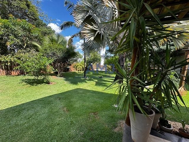 Sítio, 3 quartos, 1200 m² - Foto 29