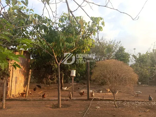 Chácara com 6000m² 3 quartos e 1 banheiro, à venda, no bairro Santa Fé em Uberaba