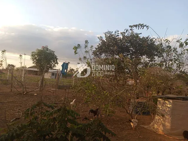 Chácara com 6000m² 3 quartos e 1 banheiro, à venda, no bairro Santa Fé em Uberaba