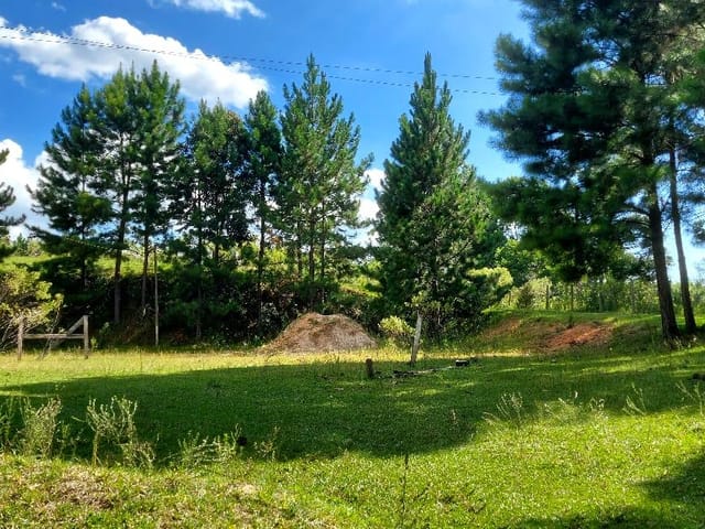 Chácara com 51425m² 1 quarto e 1 banheiro, à venda, no bairro Vila David Antônio em Campo Largo