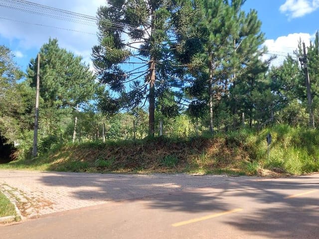 Chácara com 51425m² 1 quarto e 1 banheiro, à venda, no bairro Vila David Antônio em Campo Largo