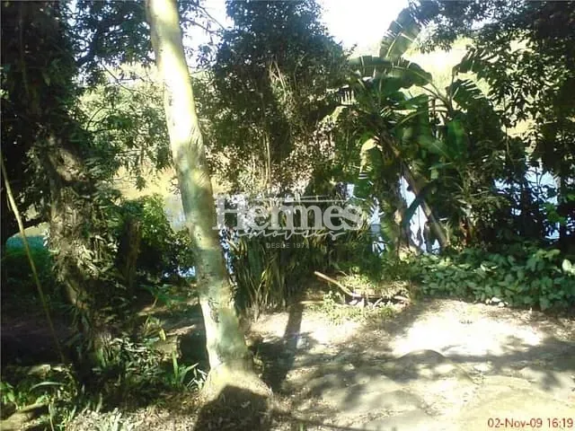 Chácara com 5000m² 4 quartos e 4 banheiros, à venda ou para alugar, no bairro Centro em Cosmópolis