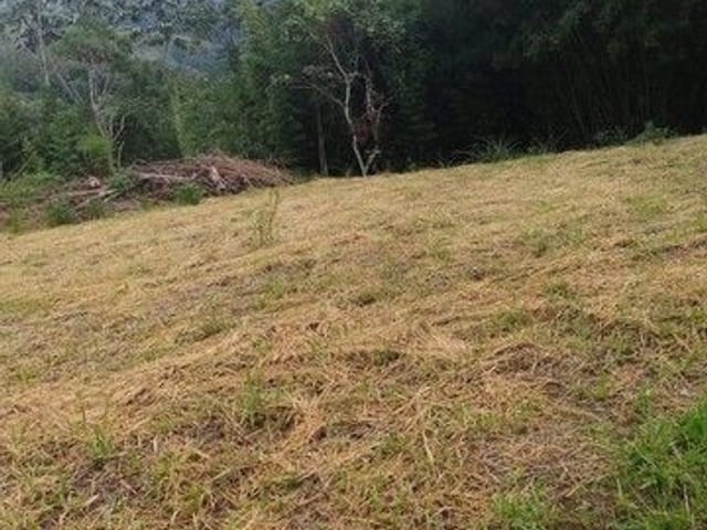 Foto do Chácara - Chácara com 1 dormitório à venda, 6400 m² por R$ 380.000,00 - Sobrado - São José dos Campos/SP | INDEPENDENCE NEGOCIOS IMOBILIARIOS LTDA
