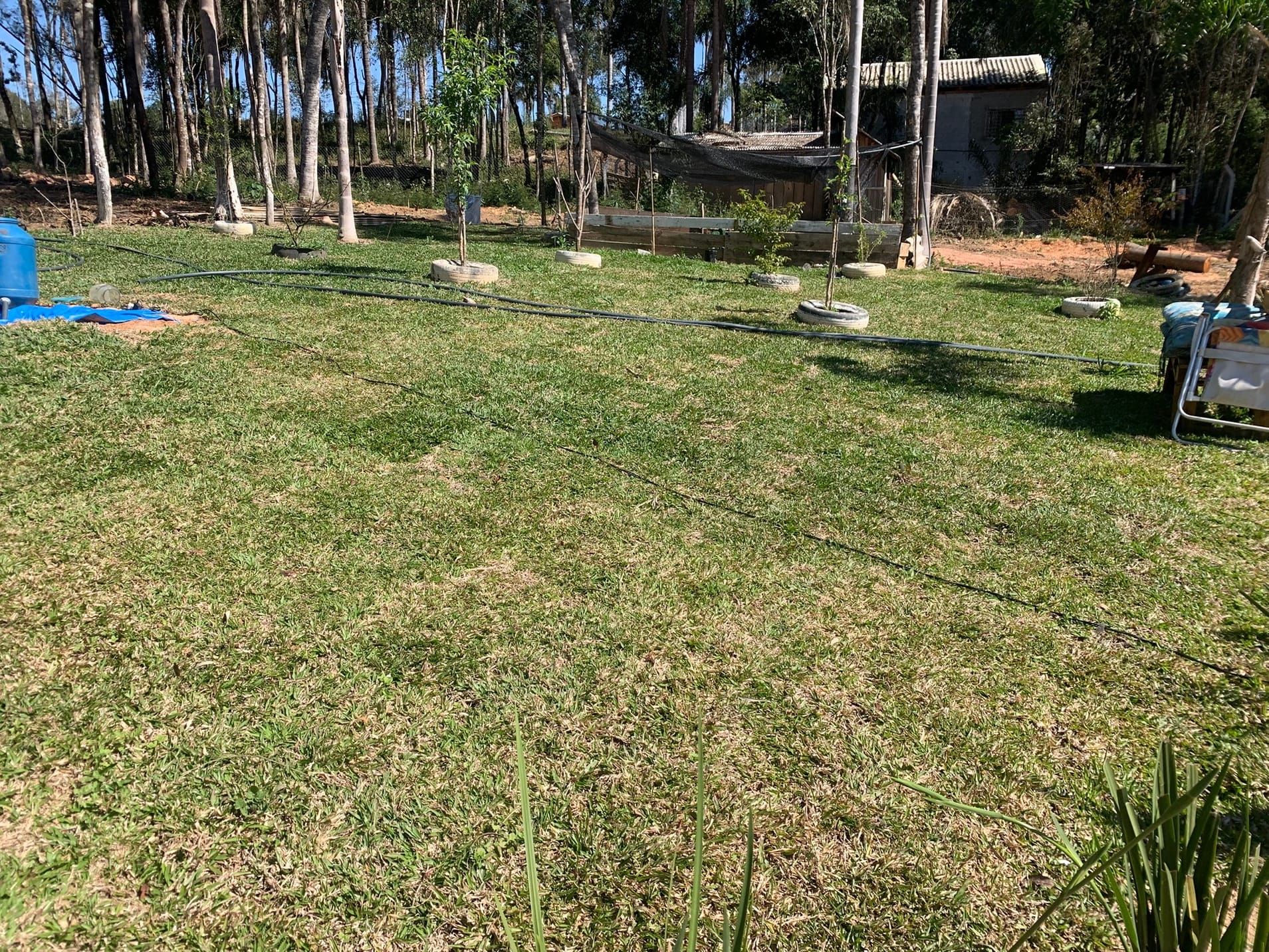 Chácara, 1 quarto, 3050 m² - Foto 1