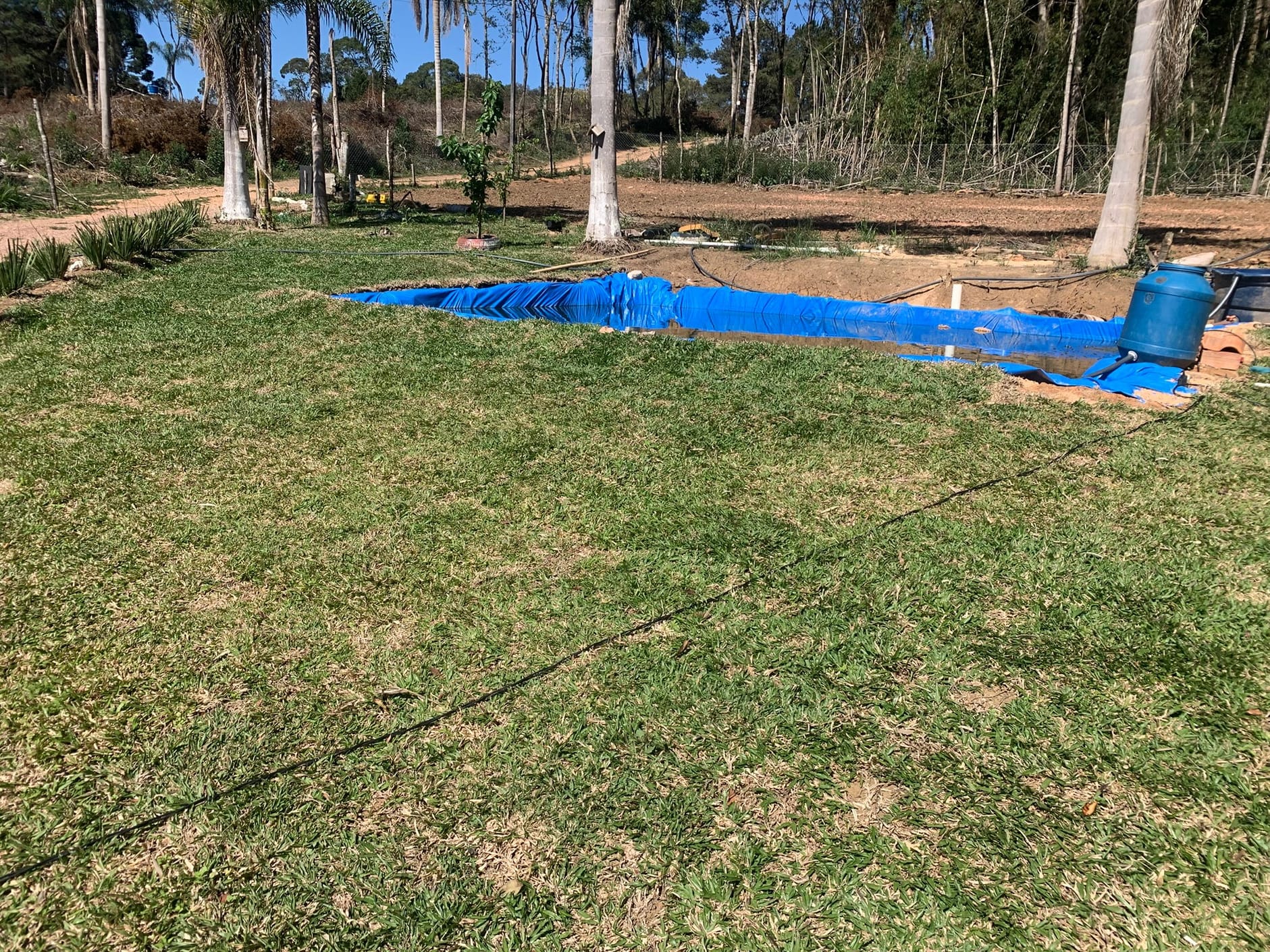 Chácara, 1 quarto, 3050 m² - Foto 7