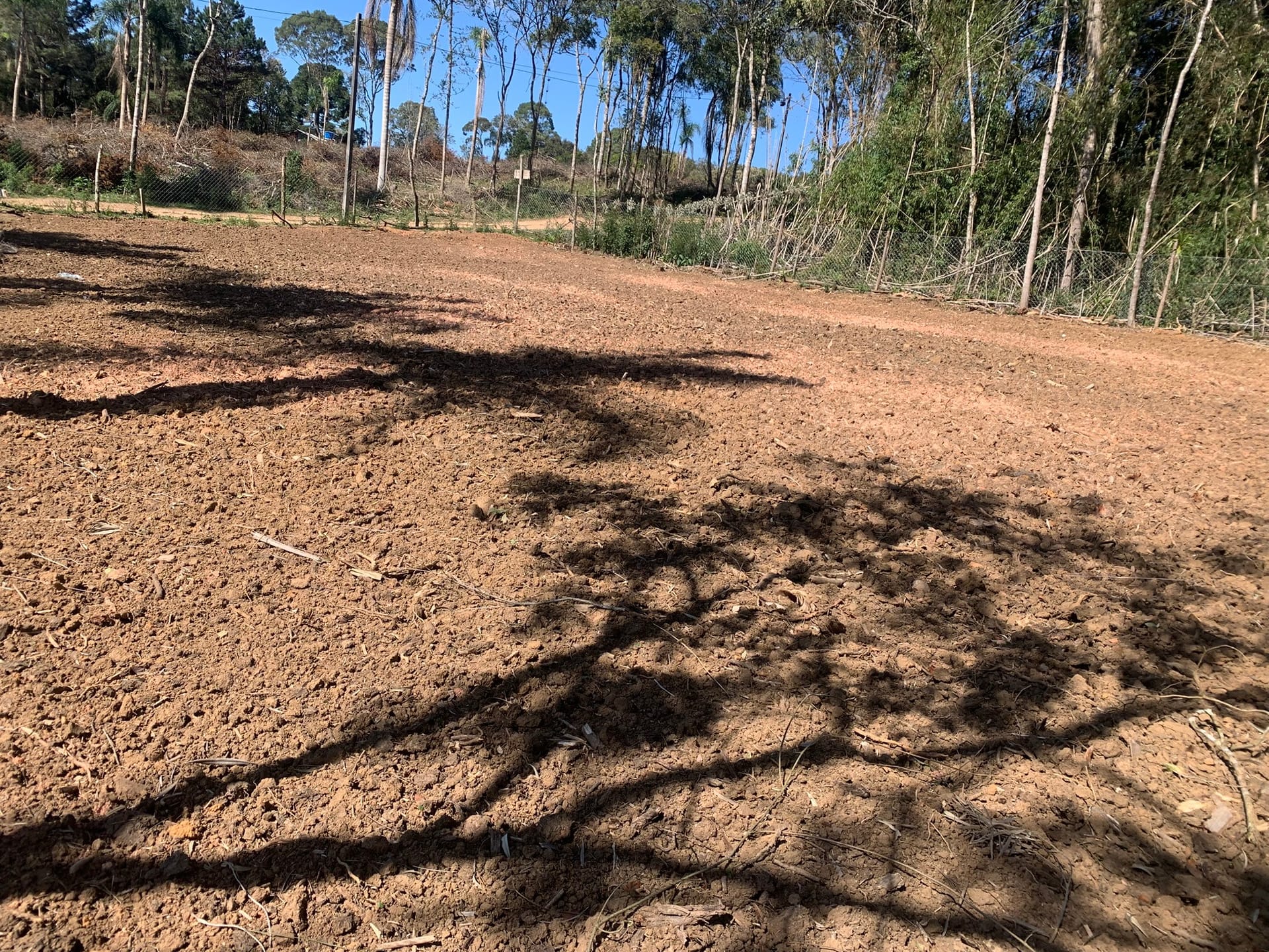 Chácara, 1 quarto, 3050 m² - Foto 9