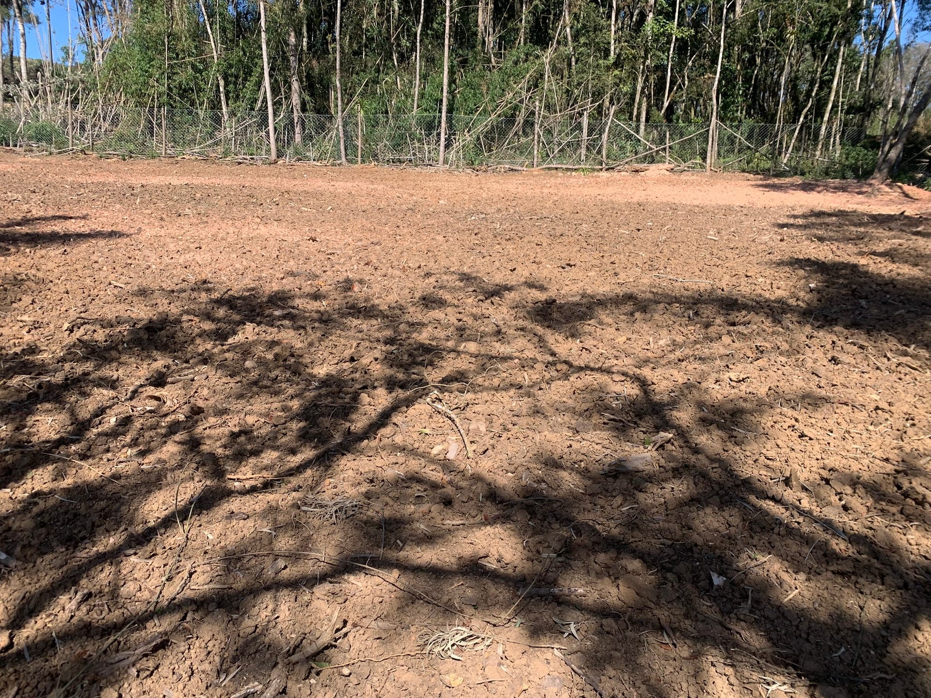 Chácara, 1 quarto, 3050 m² - Foto 10