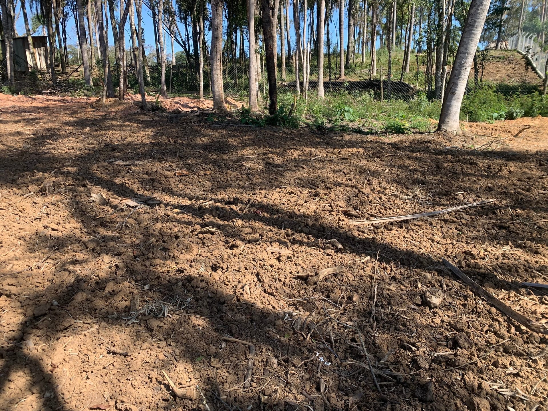 Chácara, 1 quarto, 3050 m² - Foto 11