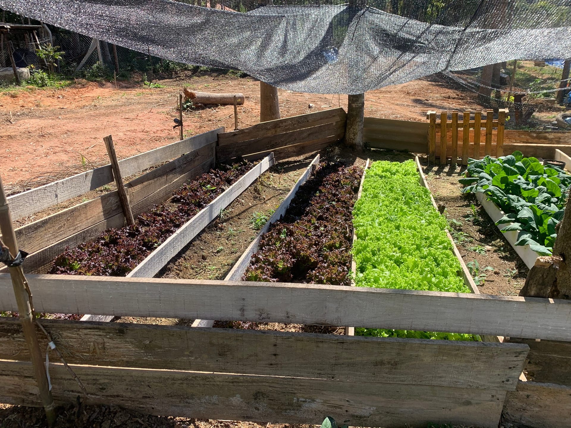 Chácara, 1 quarto, 3050 m² - Foto 5