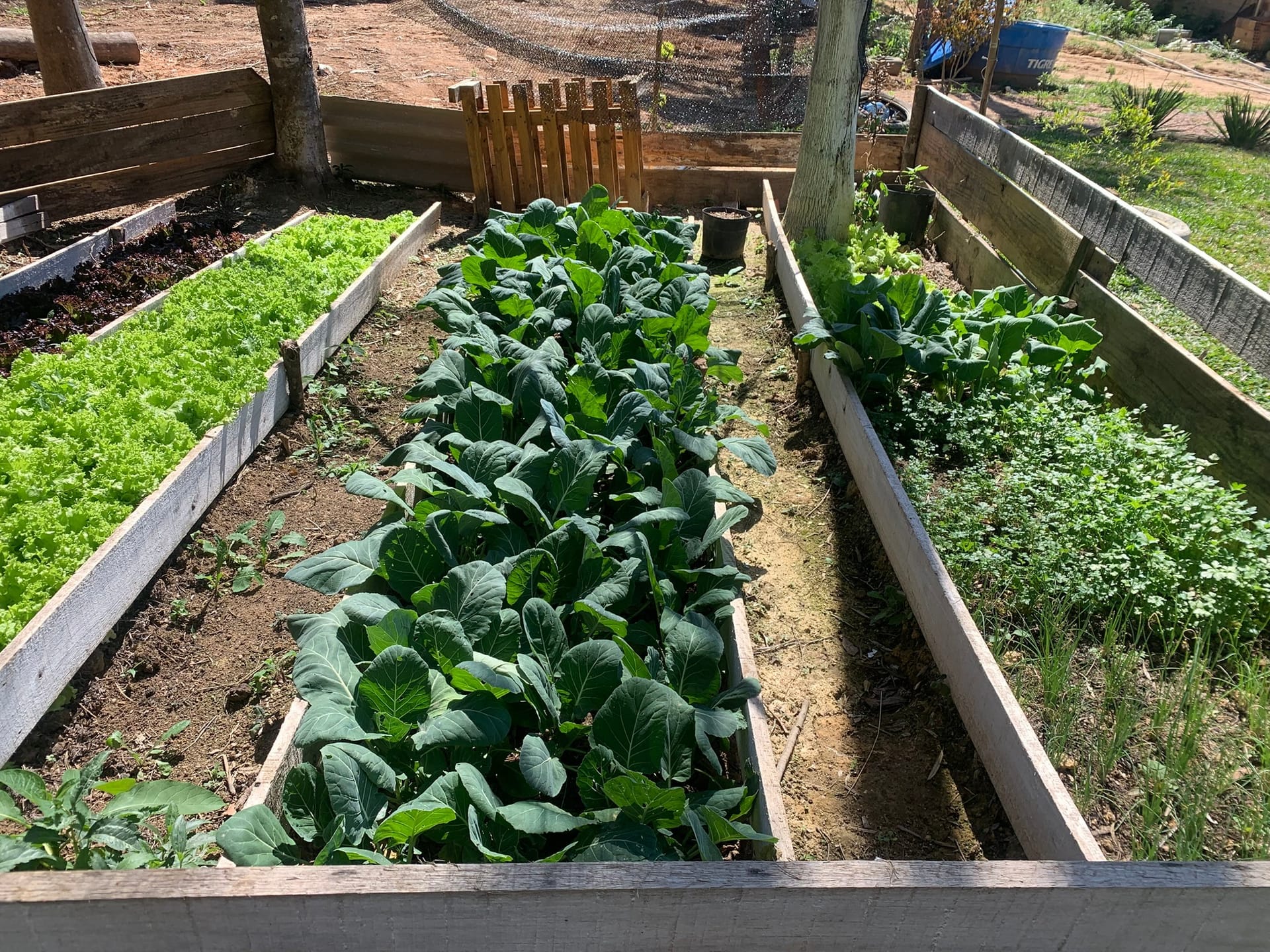 Chácara, 1 quarto, 3050 m² - Foto 12