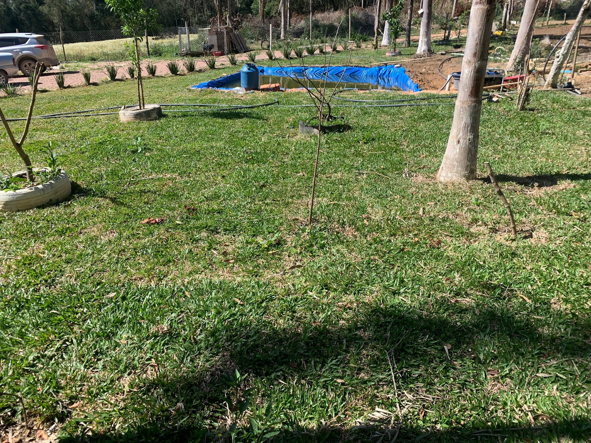 Chácara, 1 quarto, 3050 m² - Foto 13