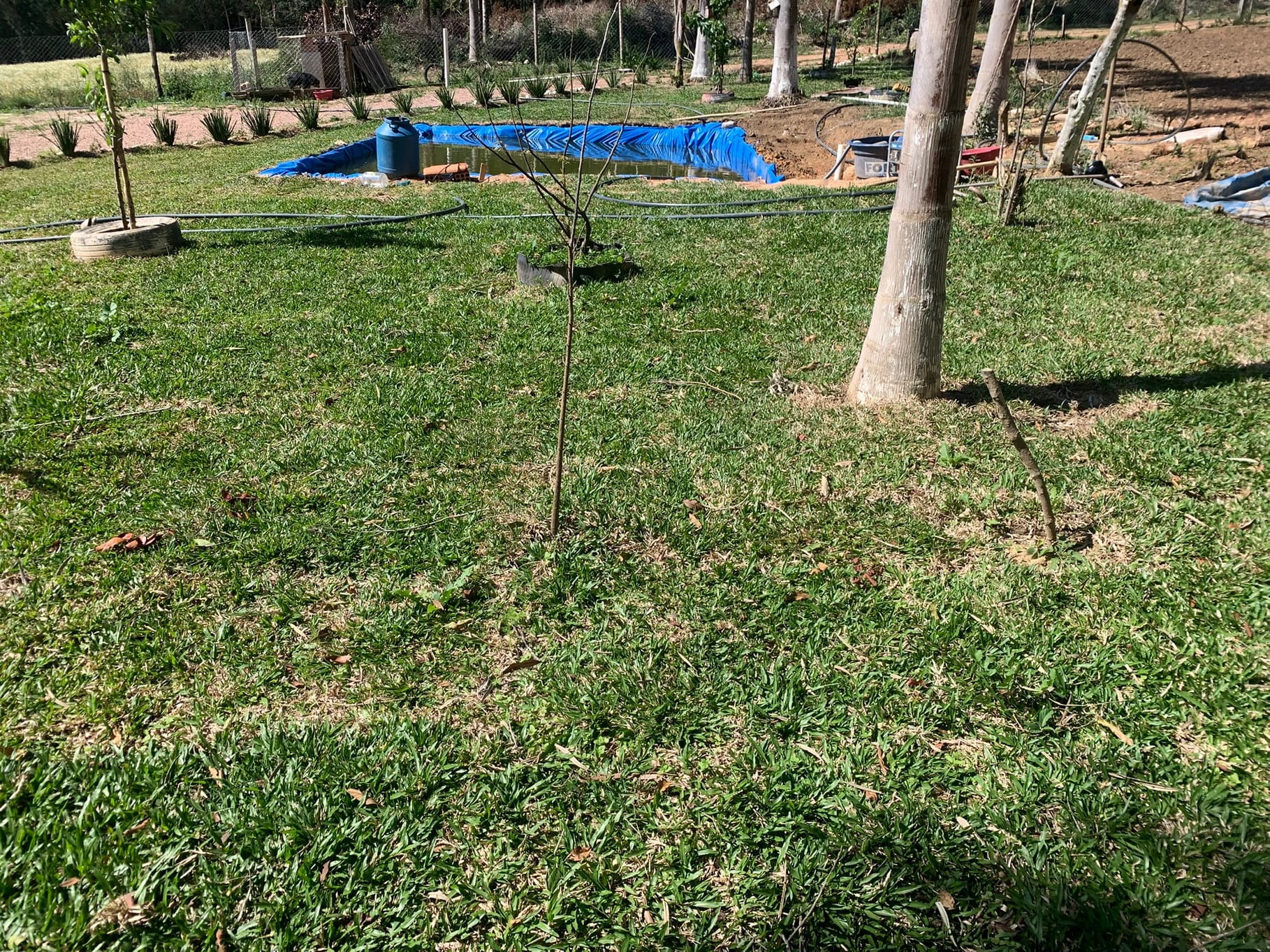 Chácara, 1 quarto, 3050 m² - Foto 14