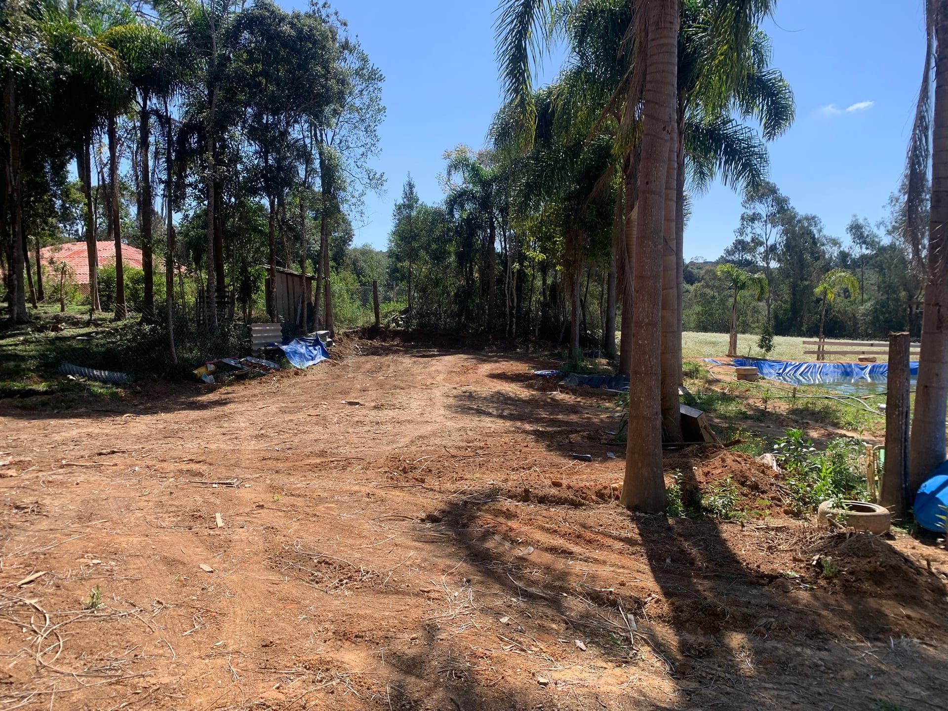 Chácara, 1 quarto, 3050 m² - Foto 6