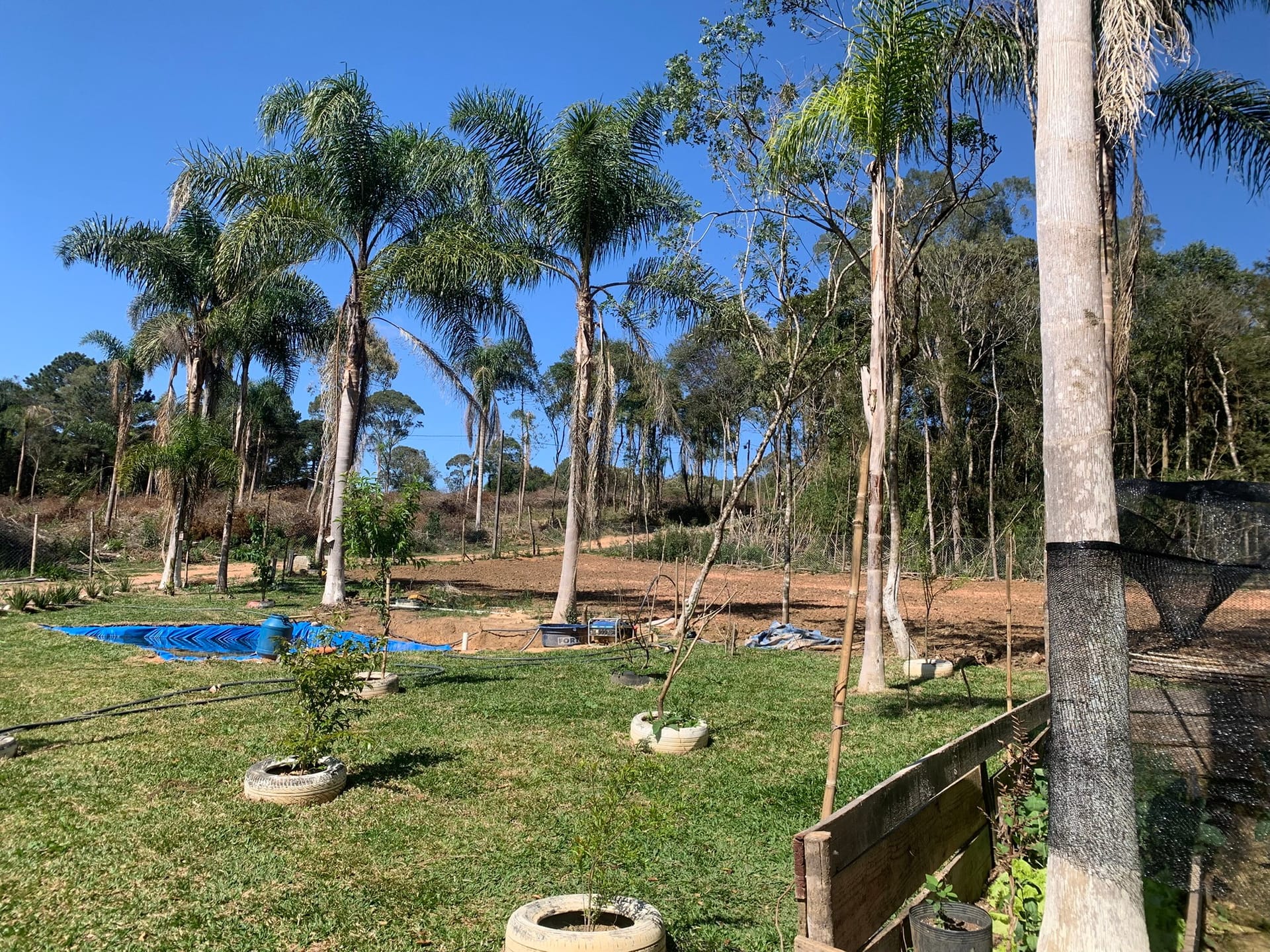 Chácara, 1 quarto, 3050 m² - Foto 15