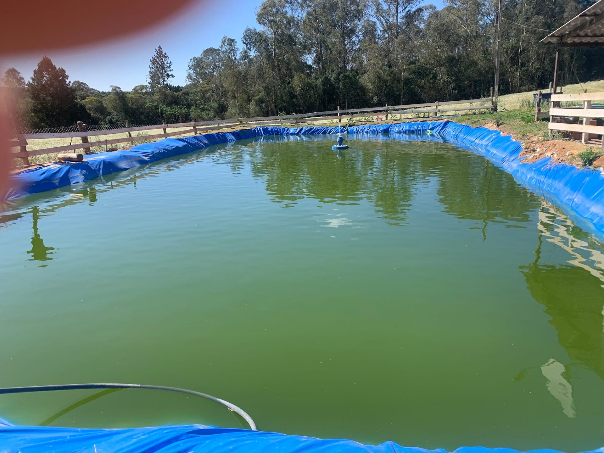 Chácara, 1 quarto, 3050 m² - Foto 3