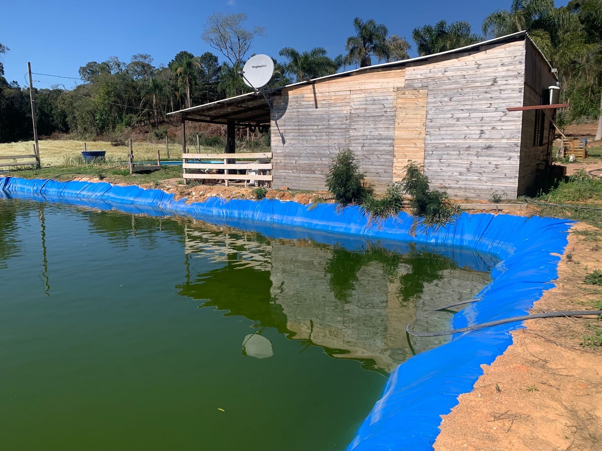 Chácara, 1 quarto, 3050 m² - Foto 17