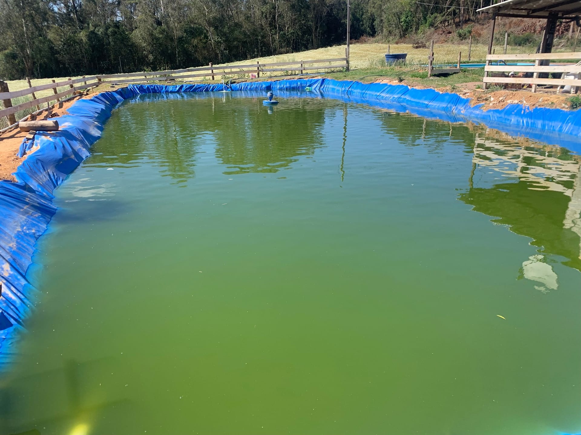 Chácara, 1 quarto, 3050 m² - Foto 18