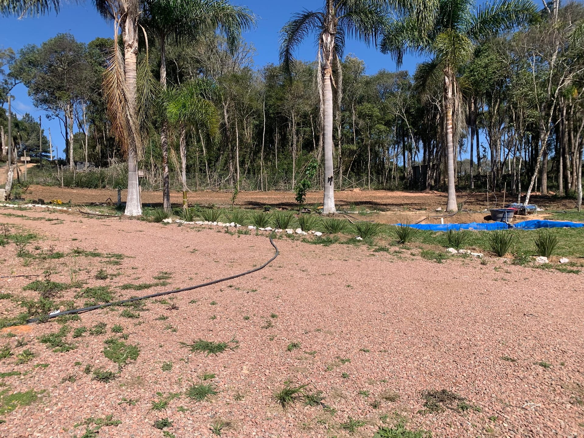 Chácara, 1 quarto, 3050 m² - Foto 26