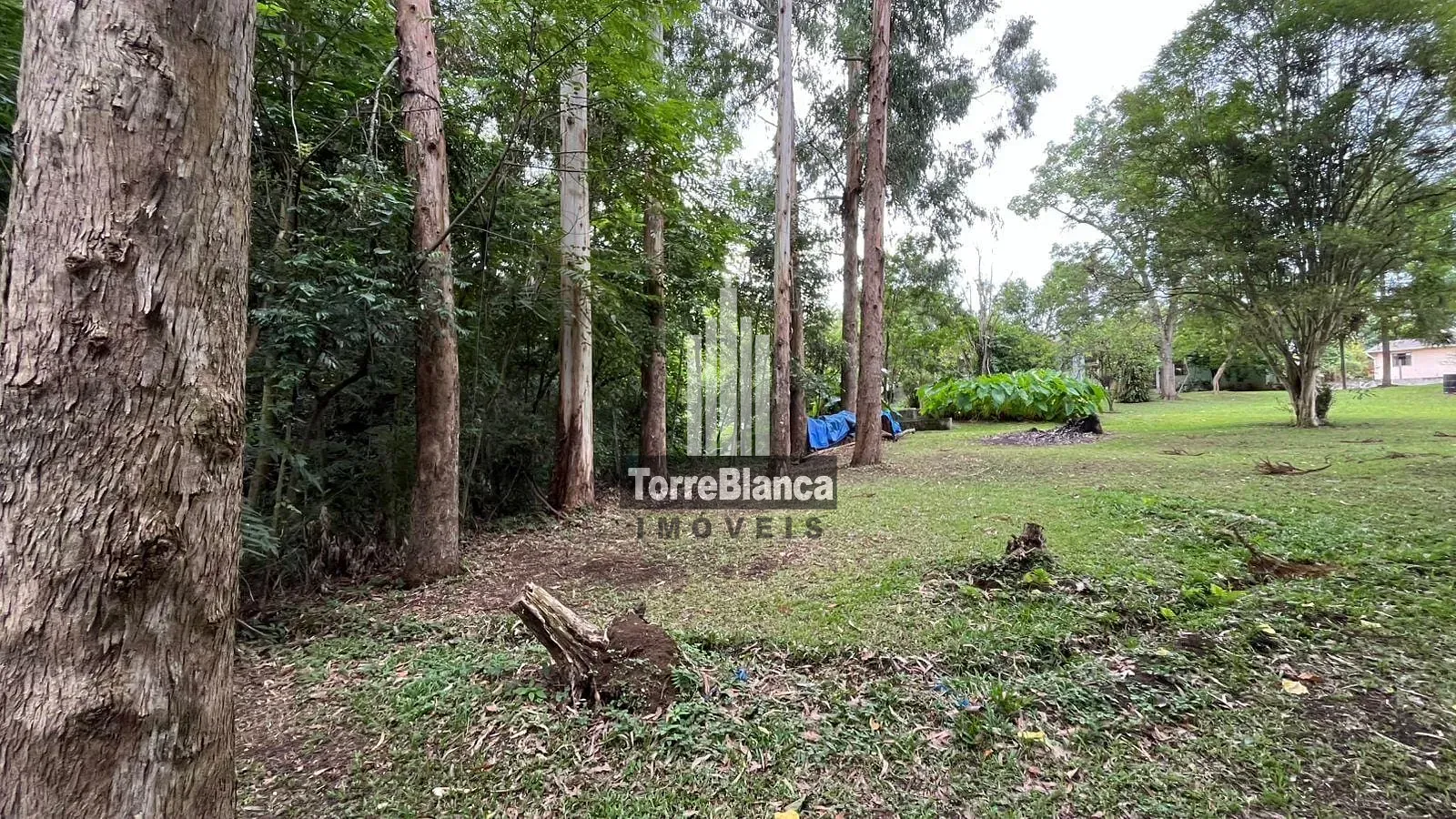 Chácara, 3 quartos, 2700 m² - Foto 21