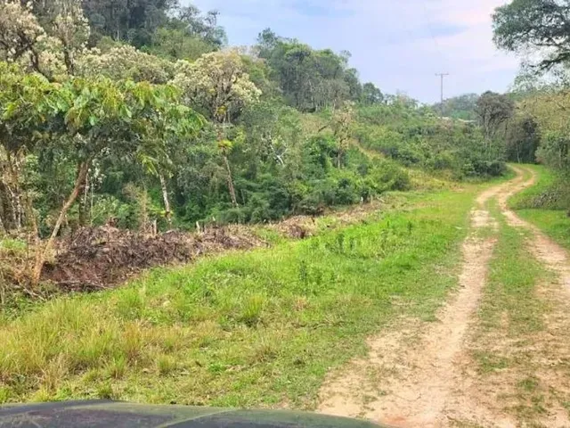 Chácara à venda, no bairro São Sebastião em São José Dos Pinhais