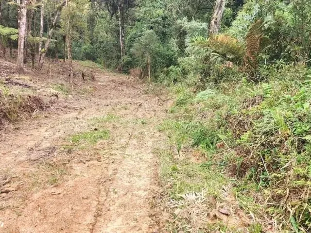 Chácara à venda, no bairro São Sebastião em São José Dos Pinhais