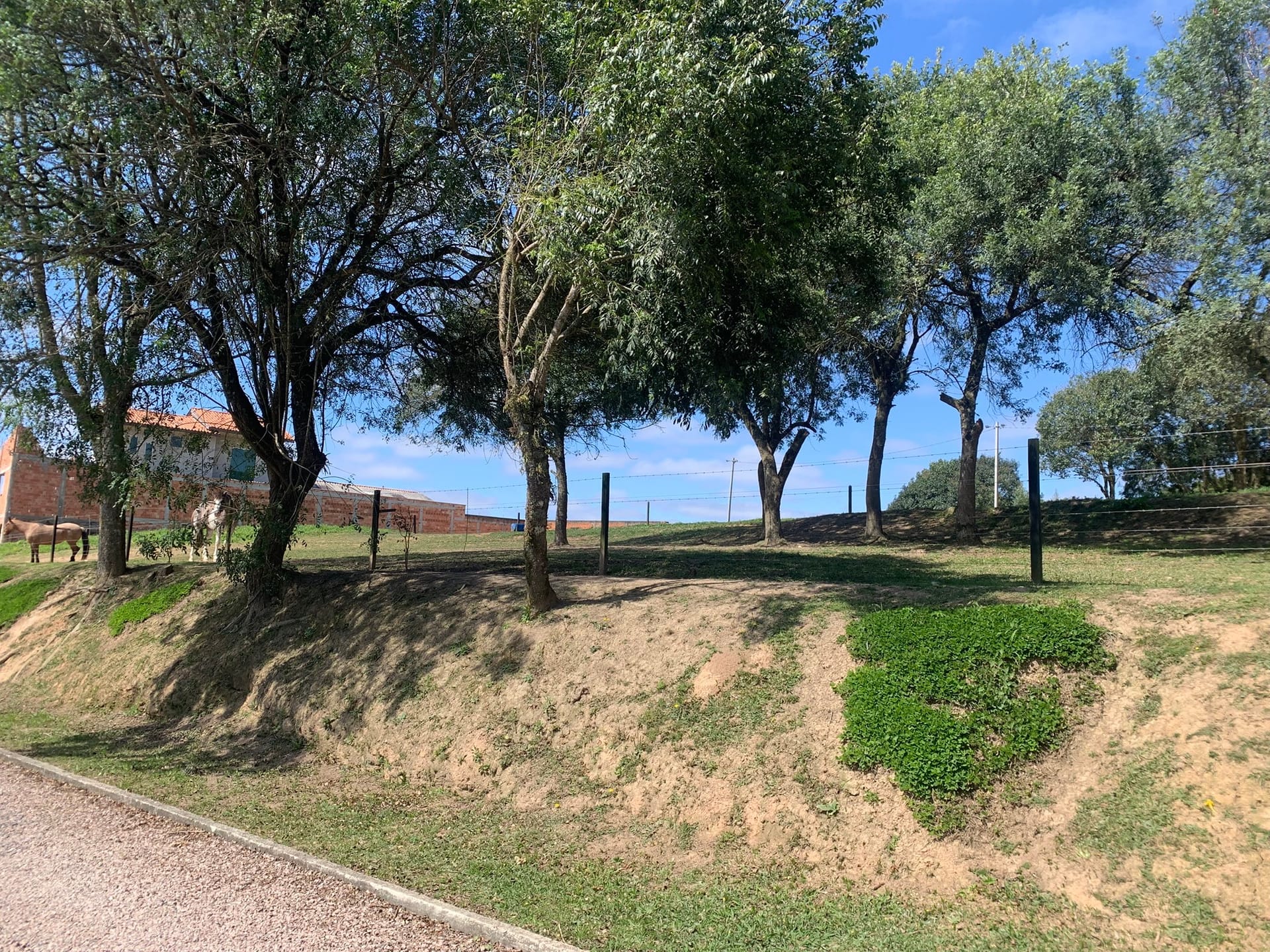 Chácara, 2 quartos, 4770 m² - Foto 13