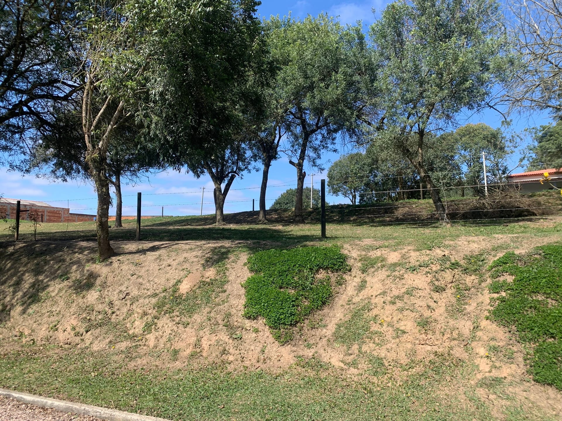 Chácara, 2 quartos, 4770 m² - Foto 14