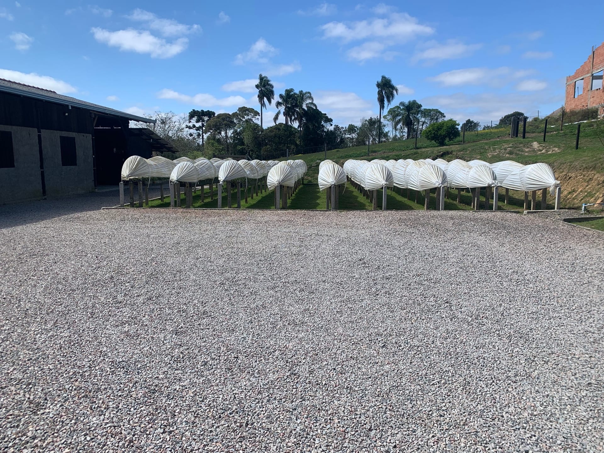 Chácara, 2 quartos, 4770 m² - Foto 10