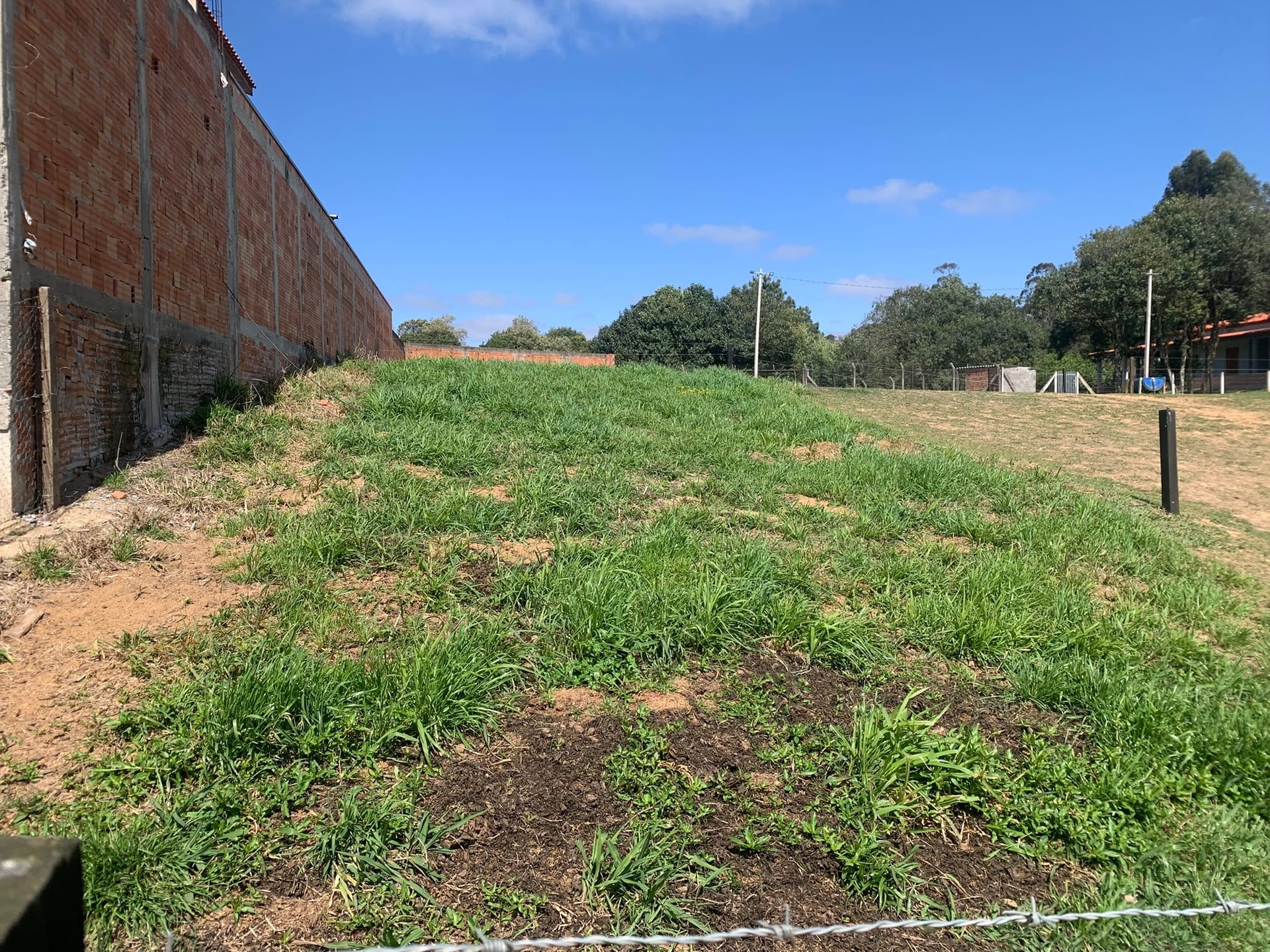 Chácara, 2 quartos, 4770 m² - Foto 19