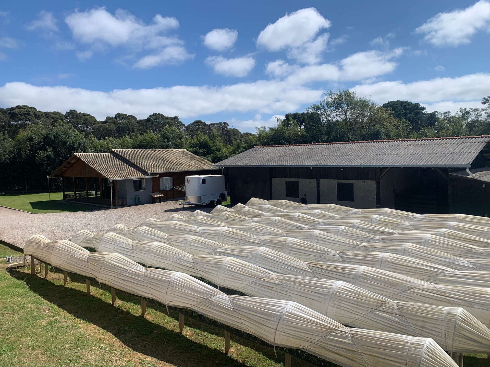 Chácara, 2 quartos, 4770 m² - Foto 8