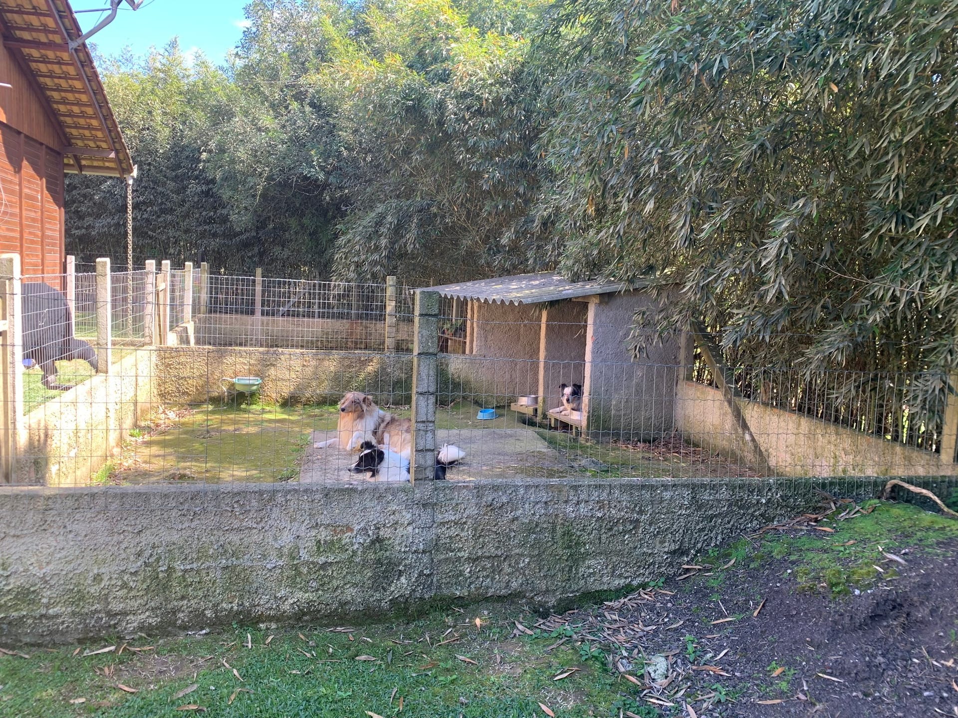 Chácara, 2 quartos, 4770 m² - Foto 24