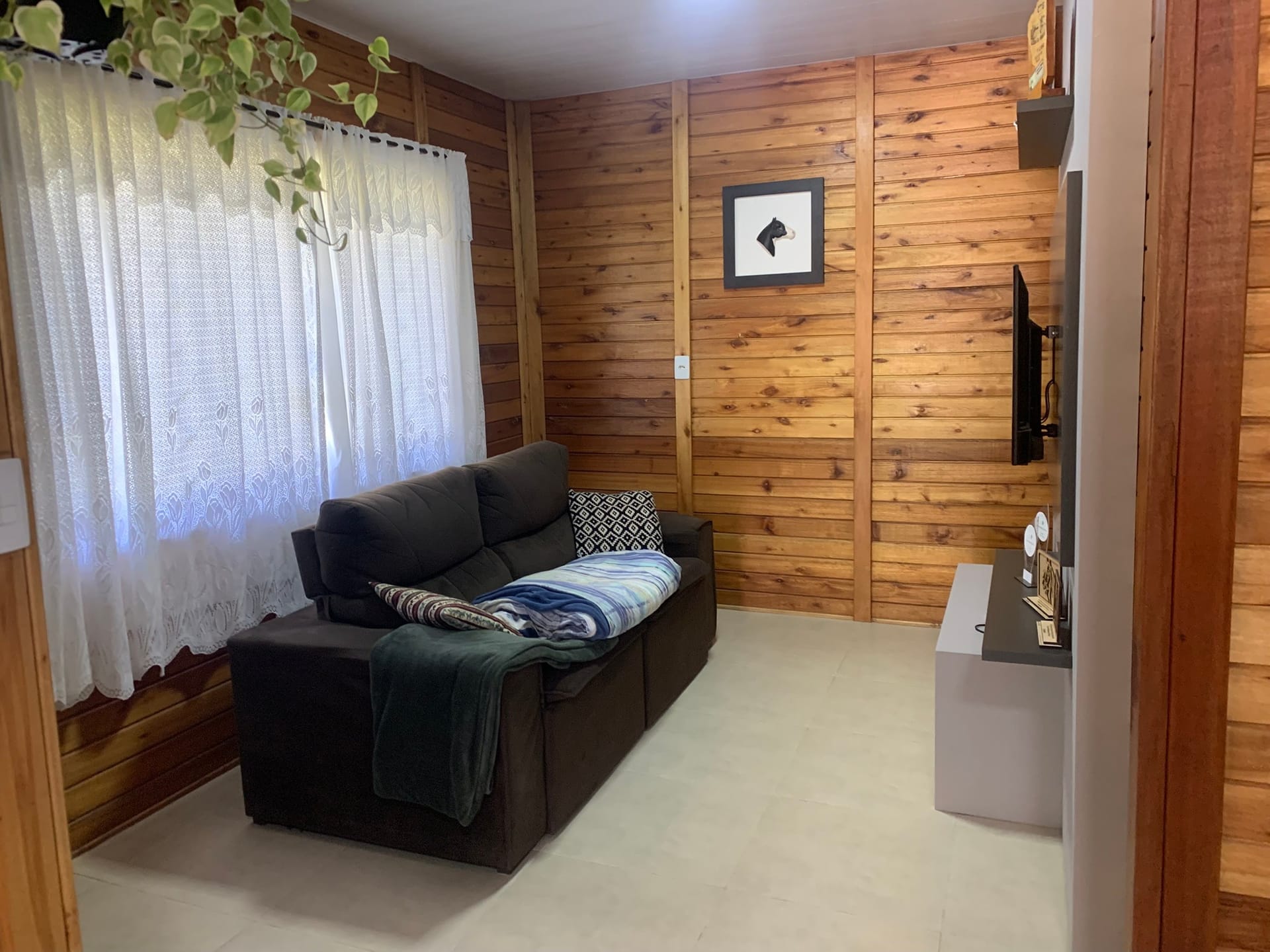 Chácara, 2 quartos, 4770 m² - Foto 31